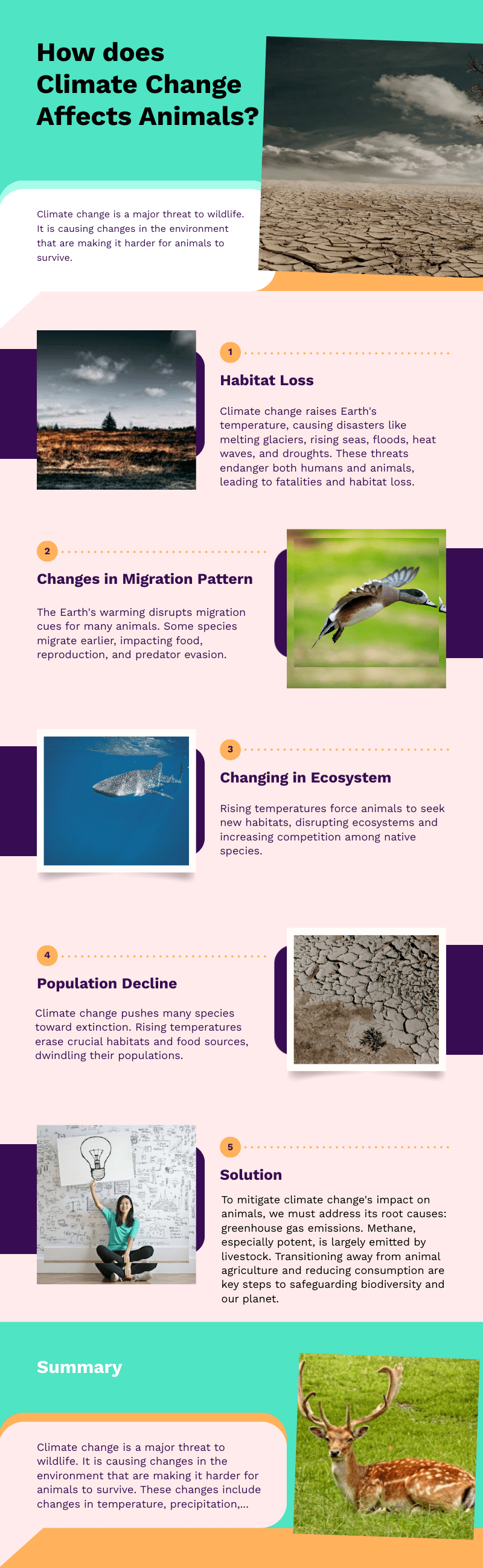 How Does Climate Change Affects Animals? (2024)