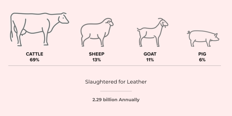 leather slaughtered animals